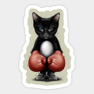 CAT BOXER 2017 Sticker